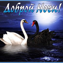 �������, ������, 47 ���