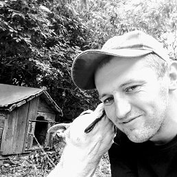 ��������, ��������, 37 ���