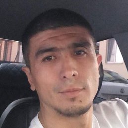 �������, �����-���������, 40 ���