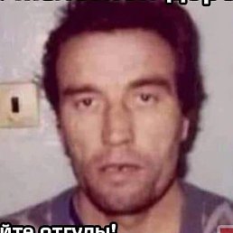 ����, �����-���������, 40 ���