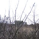 ���� ������, ������� - ��������� 3 ������ 2023 � ������ ���� ����������