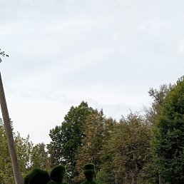 ������, ������, 34 ����