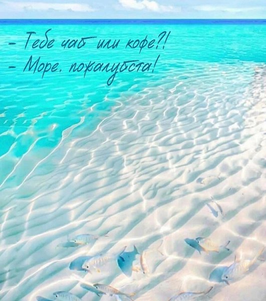 ~ ~ ~ ~ ~ ~ ~ ~ ~ ~ ~ ~ ~ ~ ~