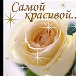 ������, ������, 39 ���