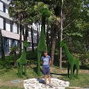 ���� Wolf, ���������, 49 ��� - ��������� 19 �������� 2023