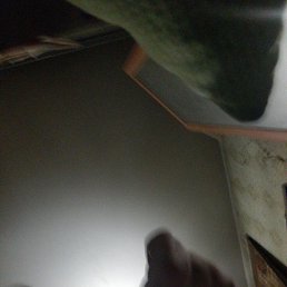 ���� Ը���, ������, 48 ��� - ��������� 18 ����� 2023