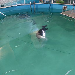  , -, 37  -  26  2023