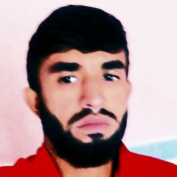 ��������, ������, 37 ���