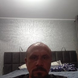 , 36, 