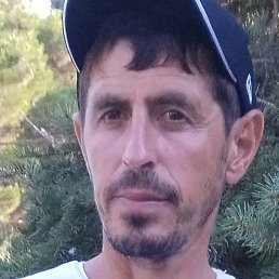 ����������, ������, 46 ���