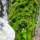 ���� ������, ��������, 42 ���� - ��������� 6 ������ 2023 � ������ ���� ����������