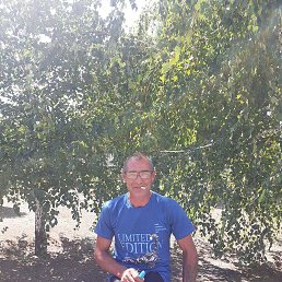 ���� ����, �������, 56 ��� - ��������� 31 ���� 2023