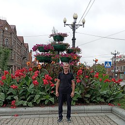 �������� �����������, ���������, 65 ���