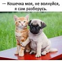 ���� ���������, ���������� - ��������� 20 ���� 2023 � ������ ������ ��������