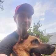 �����, 38 ���, ��������