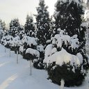 ���� Iurii, �������, 64 ���� - ��������� 18 �������� 2023 � ������ ���� ����������