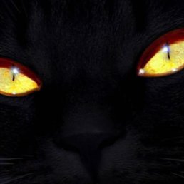 �, ������-��-����, 56 ���