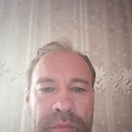   , 46 , 