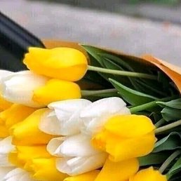 ���� �����, ������-��-����, 47 ��� - ��������� 26 ������� 2023