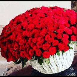 ����, ������, 35 ���