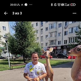 ������, ���, 52 ����