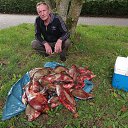 ���� �������, ��������, 61 ��� - ��������� 1 ������ 2023 � ������ ���� ����������