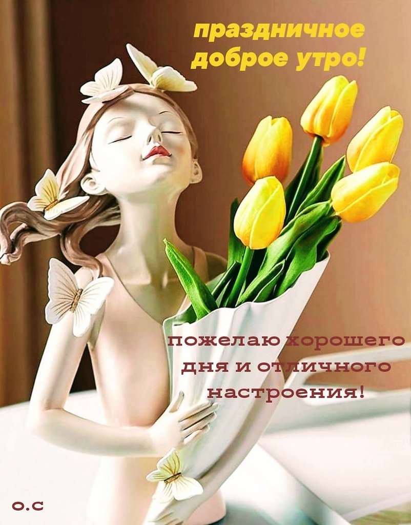   ,    . - 7  2023  22:31