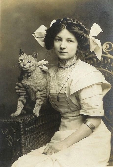 ������� � �������, 1910