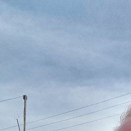 ����, �����������, 62 ����