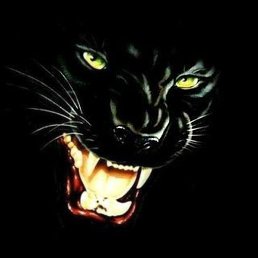 ��������, ������ ��������, 49 ���