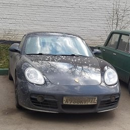 ����, ������, 37 ���