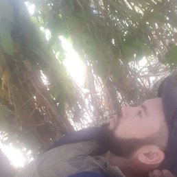 Jovidon, ������, 34 ����