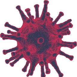 �������, ��������, 39 ���