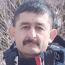 ����, ���������, 54 ����