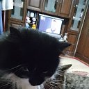 ���� ������, ������-��-����, 53 ���� - ��������� 13 ����� 2023