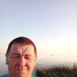 ���� �������, �����-���������, 50 ��� - ��������� 8 ��� 2023