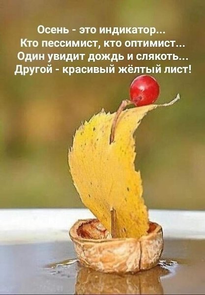   - 28  2023  04:41