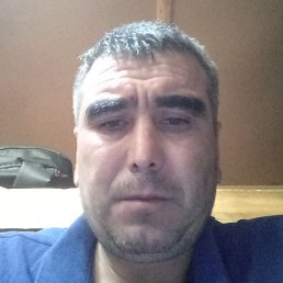 �����, ������, 43 ����