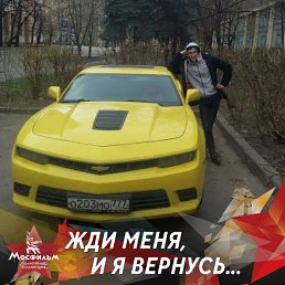 � � � �, ����������, 42 ����
