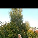 ���� �������, �����-���������, 67 ��� - ��������� 29 ������� 2023