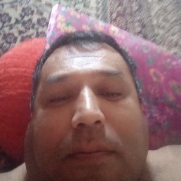 �����, �������, 43 ����