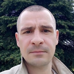 �����, ������, 41 ���