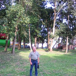 ������, ������, 65 ���