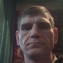 �����, ������, 41 ���