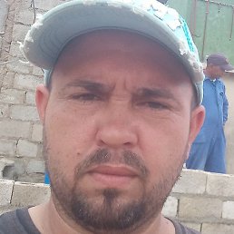 Nelson, ������, 41 ���