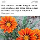 ���� ������, ������������, 50 ��� - ��������� 16 ������ 2023 � ������ ���� ����������