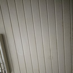 �����, �����-���������, 50 ���