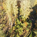 ���� Candy, ������, 38 ��� - ��������� 21 ������� 2023 � ������ ���� ����������