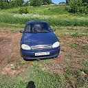 ���� ������, ������, 36 ��� - ��������� 11 ������� 2023 � ������ ���� ����������