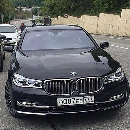 �����, ���������, 37 ���